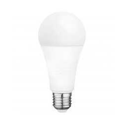 BOMBILLA LED 20W E27 DIA